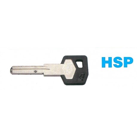 Κλειδί MG hsp μη αντιγράψιμο απο Ιταλία
